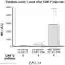 Fig. 60 - Compositions and methods for CAR T cell therapy