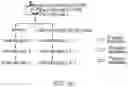 Fig. 66 - Compositions and methods for CAR T cell therapy