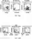 Fig. 76 - Compositions and methods for CAR T cell therapy