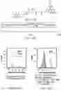 Fig. 81 - Compositions and methods for CAR T cell therapy