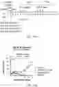 Fig. 88 - Compositions and methods for CAR T cell therapy