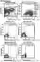 Fig. 93 - Compositions and methods for CAR T cell therapy