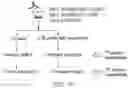 Fig. 94 - Compositions and methods for CAR T cell therapy