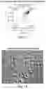 Fig. 22 - Methods for production of platelets from pluripotent stem cells and compositions thereof