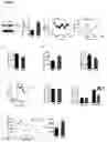 Fig. 03 - Methods and reagents for treating diabetes