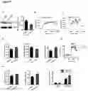 Fig. 06 - Methods and reagents for treating diabetes