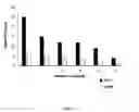 Fig. 02 - COLLAGEN MEMBRANE OR MATRIX WITH ANTIMICROBIAL PROPERTIES
