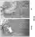 Fig. 16 - MODULATION OF GUT MICROBIOTA IN HUNTINGTON'S DISEASE AND RETT SYNDROME