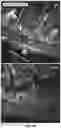 Fig. 24 - MODULATION OF GUT MICROBIOTA IN HUNTINGTON'S DISEASE AND RETT SYNDROME