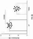Fig. 25 - MODULATION OF GUT MICROBIOTA IN HUNTINGTON'S DISEASE AND RETT SYNDROME