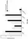Fig. 58 - MODULATION OF GUT MICROBIOTA IN HUNTINGTON'S DISEASE AND RETT SYNDROME
