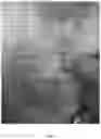 Fig. 08 - Applications of genetically engineered bacteria VNP20009-M in preparation of drugs for preventing and treating lung cancer