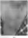 Fig. 09 - Applications of genetically engineered bacteria VNP20009-M in preparation of drugs for preventing and treating lung cancer