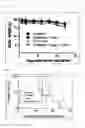 Fig. 04 - Oncolytic virus growth method and antitumor agent