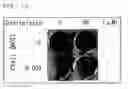 Fig. 08 - Oncolytic virus growth method and antitumor agent