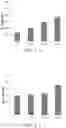 Fig. 08 - polysaccharides composite composition