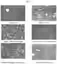 Fig. 06 - Composition for treatment and management of addiction and method of preparation thereof