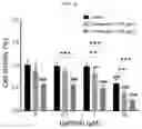 Fig. 03 - Methods and compositions for treating non-small cell lung cancer