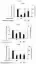 Fig. 06 - Methods and compositions for treating non-small cell lung cancer