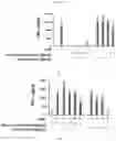 Fig. 14 - Methods and compositions for treating non-small cell lung cancer