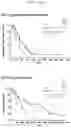Fig. 19 - Methods and compositions for treating non-small cell lung cancer