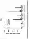 Fig. 07 - COMPOSITION FOR TREATING PULMONARY FIBROSIS COMPRISING ALLOFERON