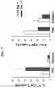 Fig. 08 - COMPOSITION FOR TREATING PULMONARY FIBROSIS COMPRISING ALLOFERON