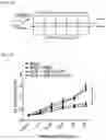 Fig. 05 - PHARMACEUTICAL COMPOSITION FOR PREVENTING OR TREATING INFLAMMATORY RESPIRATORY DISEASE CONTAINING FUSION PROTEIN IN WHICH CELL-PENETRATING PEPTIDE AND CTCTLA4 PEPTIDE ARE FUSED AS ACTIVE INGREDIENT