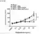 Fig. 06 - PHARMACEUTICAL COMPOSITION FOR PREVENTING OR TREATING INFLAMMATORY RESPIRATORY DISEASE CONTAINING FUSION PROTEIN IN WHICH CELL-PENETRATING PEPTIDE AND CTCTLA4 PEPTIDE ARE FUSED AS ACTIVE INGREDIENT
