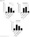 Fig. 09 - PHARMACEUTICAL COMPOSITION FOR PREVENTING OR TREATING INFLAMMATORY RESPIRATORY DISEASE CONTAINING FUSION PROTEIN IN WHICH CELL-PENETRATING PEPTIDE AND CTCTLA4 PEPTIDE ARE FUSED AS ACTIVE INGREDIENT