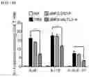 Fig. 16 - PHARMACEUTICAL COMPOSITION FOR PREVENTING OR TREATING INFLAMMATORY RESPIRATORY DISEASE CONTAINING FUSION PROTEIN IN WHICH CELL-PENETRATING PEPTIDE AND CTCTLA4 PEPTIDE ARE FUSED AS ACTIVE INGREDIENT
