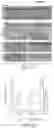 Fig. 02 - PTD-SMAD7 THERAPEUTICS