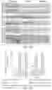 Fig. 05 - PTD-SMAD7 THERAPEUTICS
