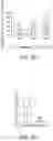 Fig. 24 - PTD-SMAD7 THERAPEUTICS