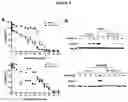 Fig. 07 - METHOD OF TREATING NEOPLASIAS