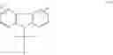 Fig. 29 - Dosage regimen for a controlled-release PTH compound