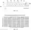 Fig. 02 - Pharmaceutical composition comprising plasminogen and uses thereof