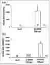 Fig. 01 - Immunogenic composition targeting S100A9