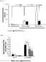 Fig. 06 - Immunogenic composition targeting S100A9