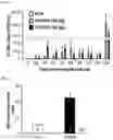 Fig. 08 - Immunogenic composition targeting S100A9
