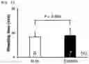 Fig. 09 - Immunogenic composition targeting S100A9