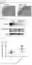 Fig. 11 - Immunogenic composition targeting S100A9
