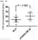 Fig. 12 - Immunogenic composition targeting S100A9
