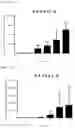 Fig. 14 - Immunogenic composition targeting S100A9
