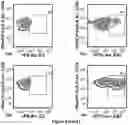 Fig. 04 - ORAL COMPOSITION AND METHODS FOR IMMUNOTHERAPY