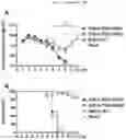 Fig. 03 - DEVELOPMENT OF AN ALTERNATIVE MODIFIED LIVE INFLUENZA B VIRUS VACCINE