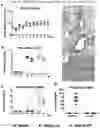 Fig. 06 - DEVELOPMENT OF AN ALTERNATIVE MODIFIED LIVE INFLUENZA B VIRUS VACCINE