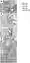 Fig. 09 - DEVELOPMENT OF AN ALTERNATIVE MODIFIED LIVE INFLUENZA B VIRUS VACCINE