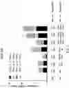 Fig. 05 - VACCINES FOR HSV-2