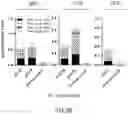 Fig. 07 - VACCINES FOR HSV-2